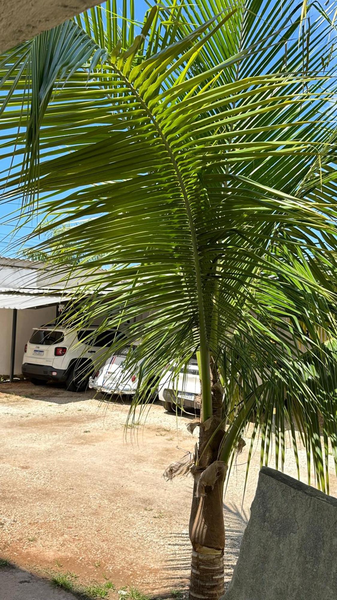 Pousada Caminho Das Cachoeiras Pirenópolis Kültér fotó